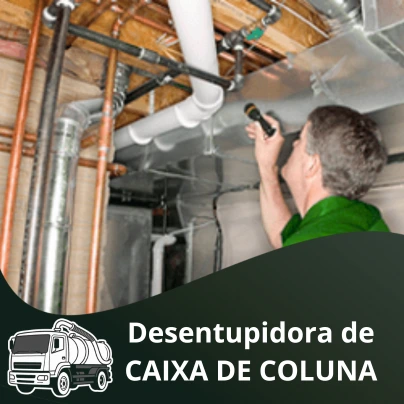 Desentupidora de Coluna
